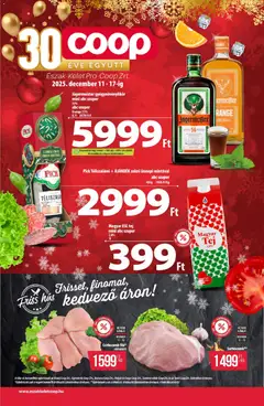 COOP - Észak Kelet Pro-Coop Zrt megtekintése, amely érvényes 2025.12.11.-től