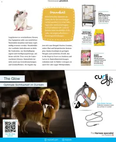 Vorschau von dem Prospekt des Geschäftes Fressnapf, gültig ab dem 01.11.2025 | Seite: 41