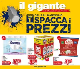 Anteprima dell'opuscolo Volantino Piemonte dal negozio Il Gigante valido da 02/01/2026