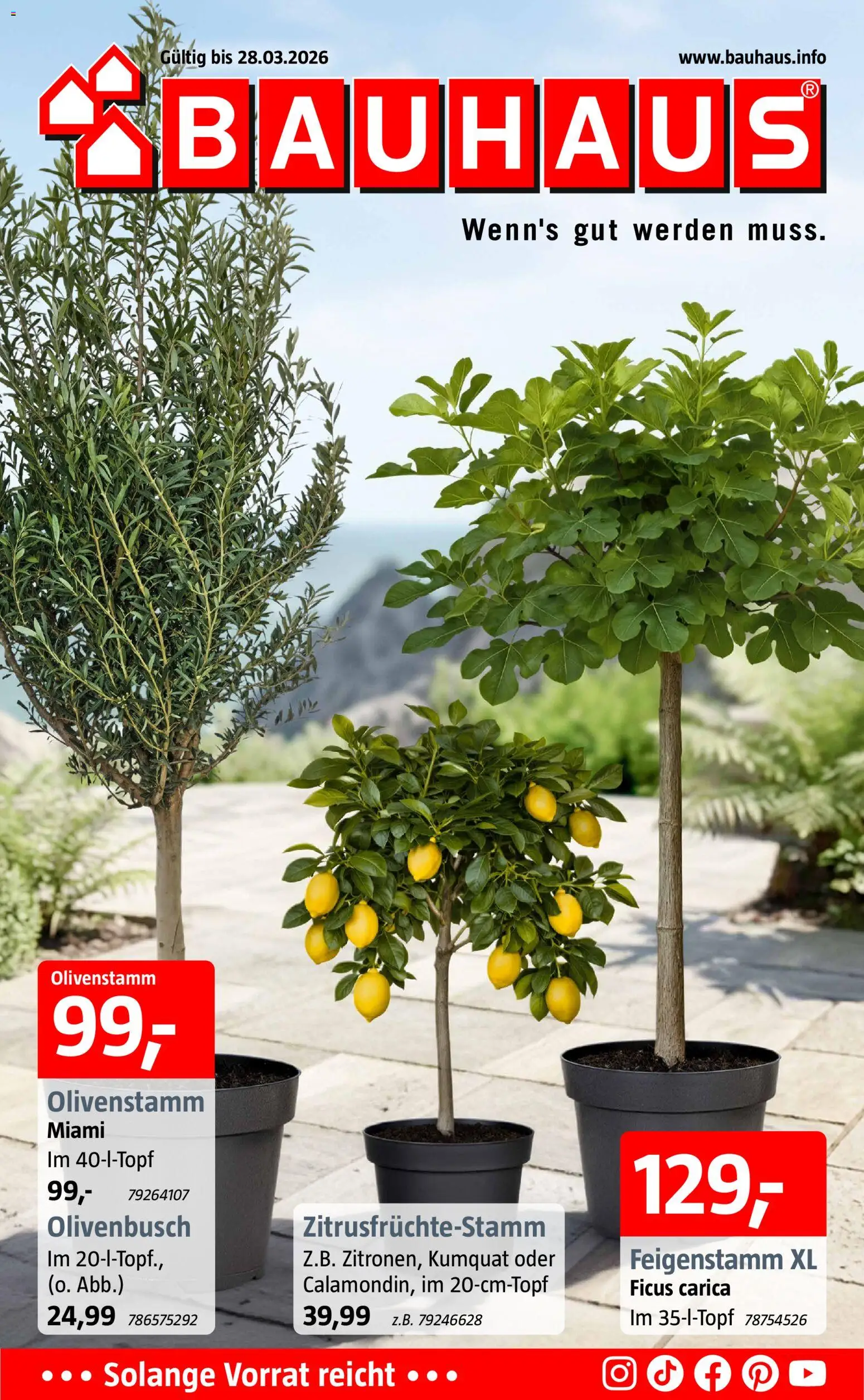 Vorschau von dem Prospekt des Geschäftes Bauhaus, gültig ab dem 16.03.2026