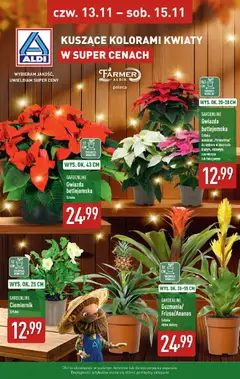 Pogląd gazetki "Kuszące kolorami kwiaty w ALDI" ze sklepu Aldi ważnej od 12.11.2025