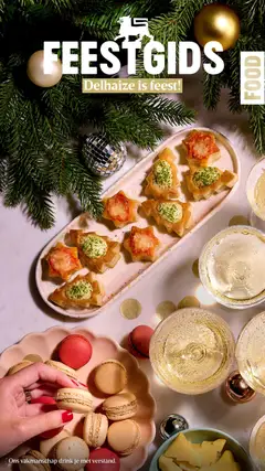 Voorbeeld van Feestgids - Food van winkel Delhaize geldig vanaf 13/11/2025