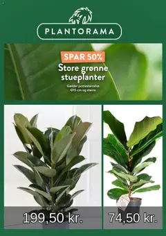 Eksempel på tilbudsavis Tilbudsavis fra butik Plantorama gyldig fra 10/08/2025
