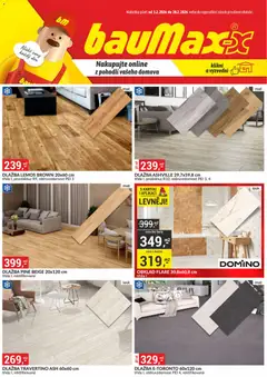 Náhled nabídky: BAUMAX Leták platný od 01.02.2026