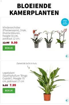 Voorbeeld van Folder van winkel Intratuin geldig vanaf 03-11-2025 | Pagina: 3