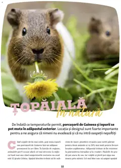 Previzualizarea de cataloage: Fressnapf Catalog - Vară valabil de la 05.05.2025 | Pagina: 32