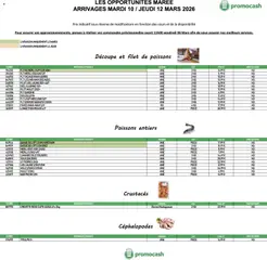 Prévisualisation de Promocash Opportunités Marée du magasin Promocash formulaire valide 10/03/2026