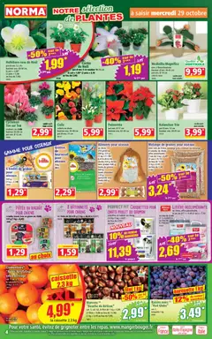 Prévisualisation de Catalogue du magasin Norma formulaire valide 29/10/2025 | Page: 4