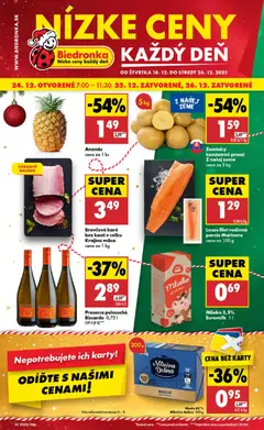 Náhľad Biedronka letáku platného od 18.12.2025