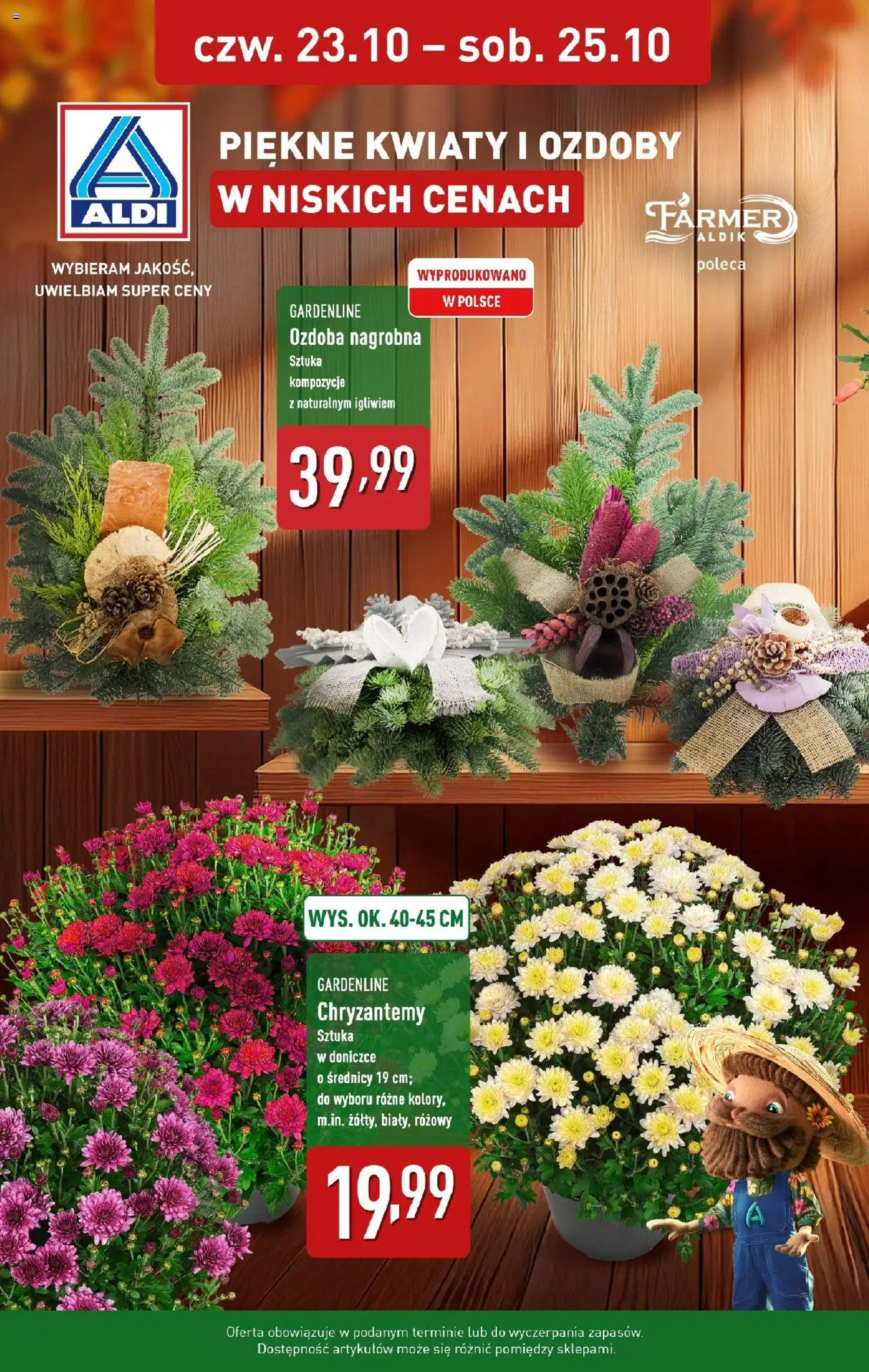 Aldi Piękne kwiaty i ozdoby w ALDI od 22.10.2025 - Nowa Gazetka - Numer strony 1