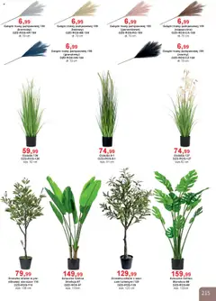 Pogląd gazetki "Katalog" ze sklepu Bodzio ważnej od 01.10.2025 | Strona: 215