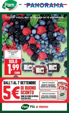 Anteprima dell'opuscolo Attuale volantino dal negozio Panorama valido da 28/08/2025