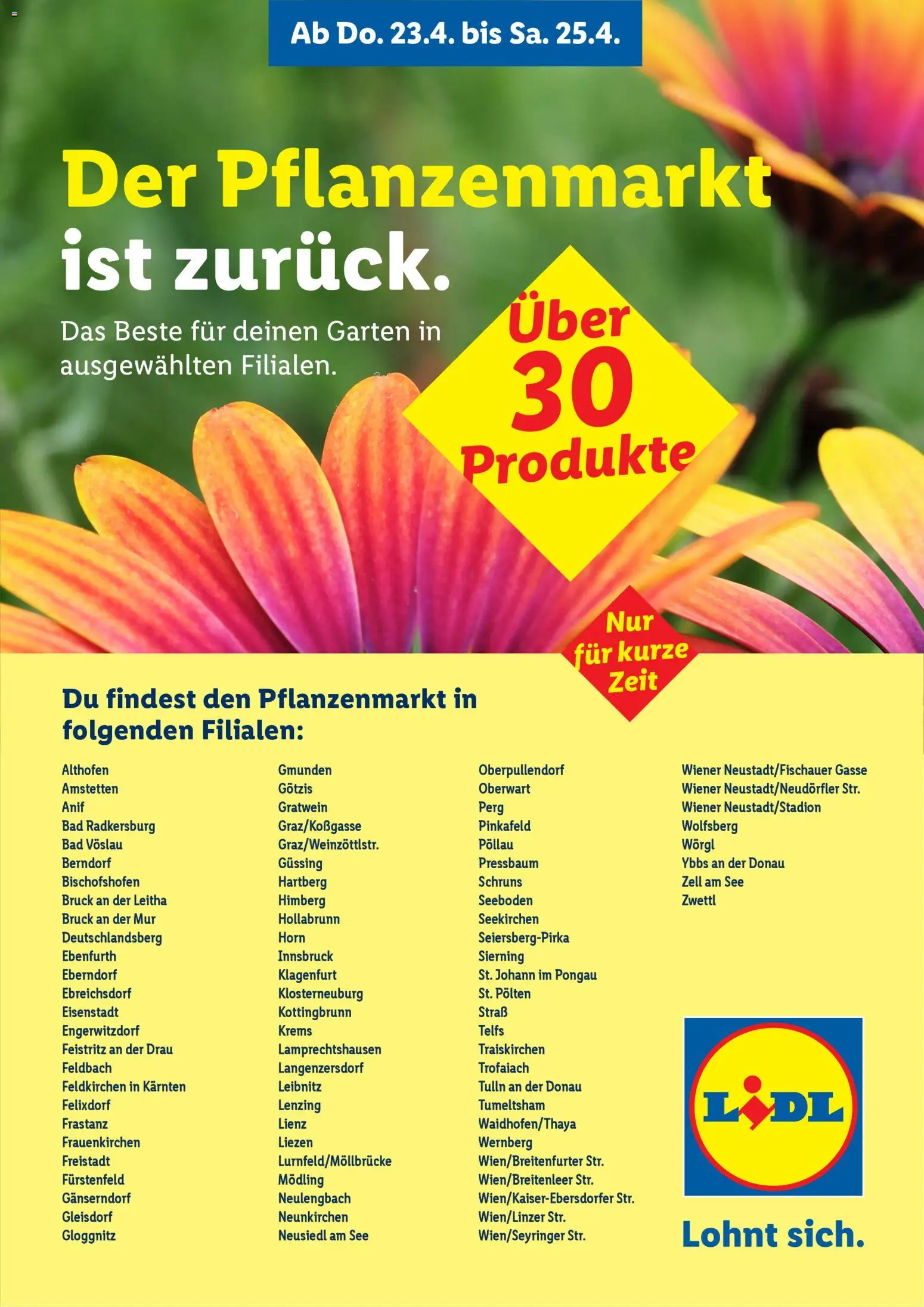 Vorschau der Angebote: Lidl Lidl Das Beste für deinen Garten gültig ab 23.04.2026