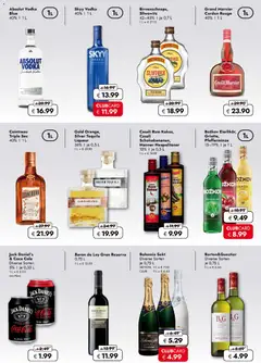 Vorschau der Angebote: Travel FREE Flugblatt gültig ab 12.12.2025 | Seite: 3