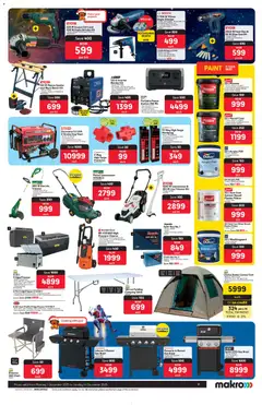 Preview of Makro flyer valid from 01/12/2025 | Page: 11