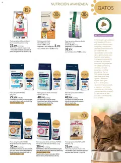 Vista previa del folleto de la tienda El Corte Inglés válido desde el 01/10/2025 | Página: 11