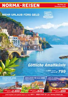 Vorschau von dem Prospekt des Geschäftes Norma, gültig ab dem 01.12.2025