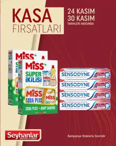 Seyhanlar Market Kasa Fırsatları 24.11.2025 - Broşürünün önizlemesi