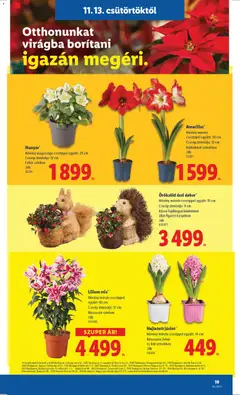 Lidl - Akciós újság Lidl megtekintése, amely érvényes 2025.11.13.-től | Oldal: 19