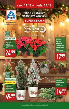 Pogląd gazetki "Piękne rośliny na gwiazdkę w ALDI" ze sklepu Aldi ważnej od 10.12.2025