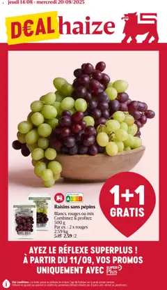 Prévisualisation de Folder de la semaine 33 du magasin Delhaize formulaire valide 14/08/2025