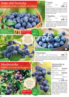 Náhled nabídky: Starkl Katalog podzim 2025 platný od 01.08.2025 | Strana: 16