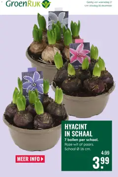 Voorbeeld van Folder van winkel GroenRijk geldig vanaf 17-12-2025