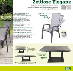 Vorschau von dem Prospekt des Geschäftes Pflanzen-Kölle, gültig ab dem 22.01.2025 | Seite: 17