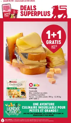 Prévisualisation de Folder de la semaine 42 du magasin Delhaize formulaire valide 16/10/2025