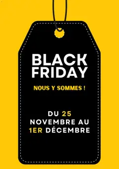 Prévisualisation de Black Friday avis du magasin Brico Cash formulaire valide 05/11/2025