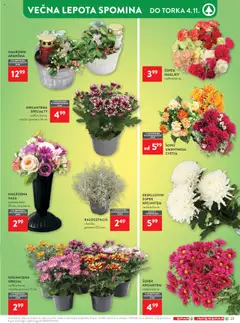 Predogled kataloga iz trgovine Spar veljaven od 22.10.2025 | Stran: 29