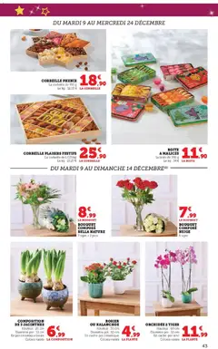Prévisualisation de Catalogue du magasin Super U formulaire valide 09/12/2025 | Page: 43