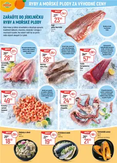 Náhled nabídky: Globus Black Friday platný od 26.11.2025 | Strana: 9