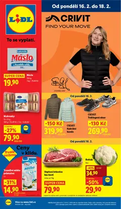 Náhled nabídky: Lidl Leták platný od 16.02.2026