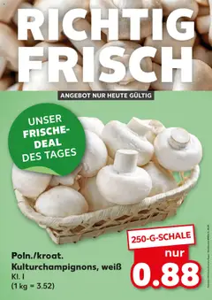 Vorschau von dem Prospekt des Geschäftes Kaufland, gültig ab dem 05.09.2025