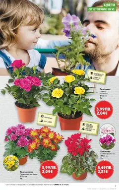 Преглед на Седмична брошура 44 от магазин Кауфланд - Офертата е валидна от 27.10.2025 | Cтраница : 7