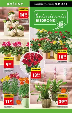 Pogląd gazetki "Nowa gazetka" ze sklepu Biedronka ważnej od 03.11.2025 | Strona: 17