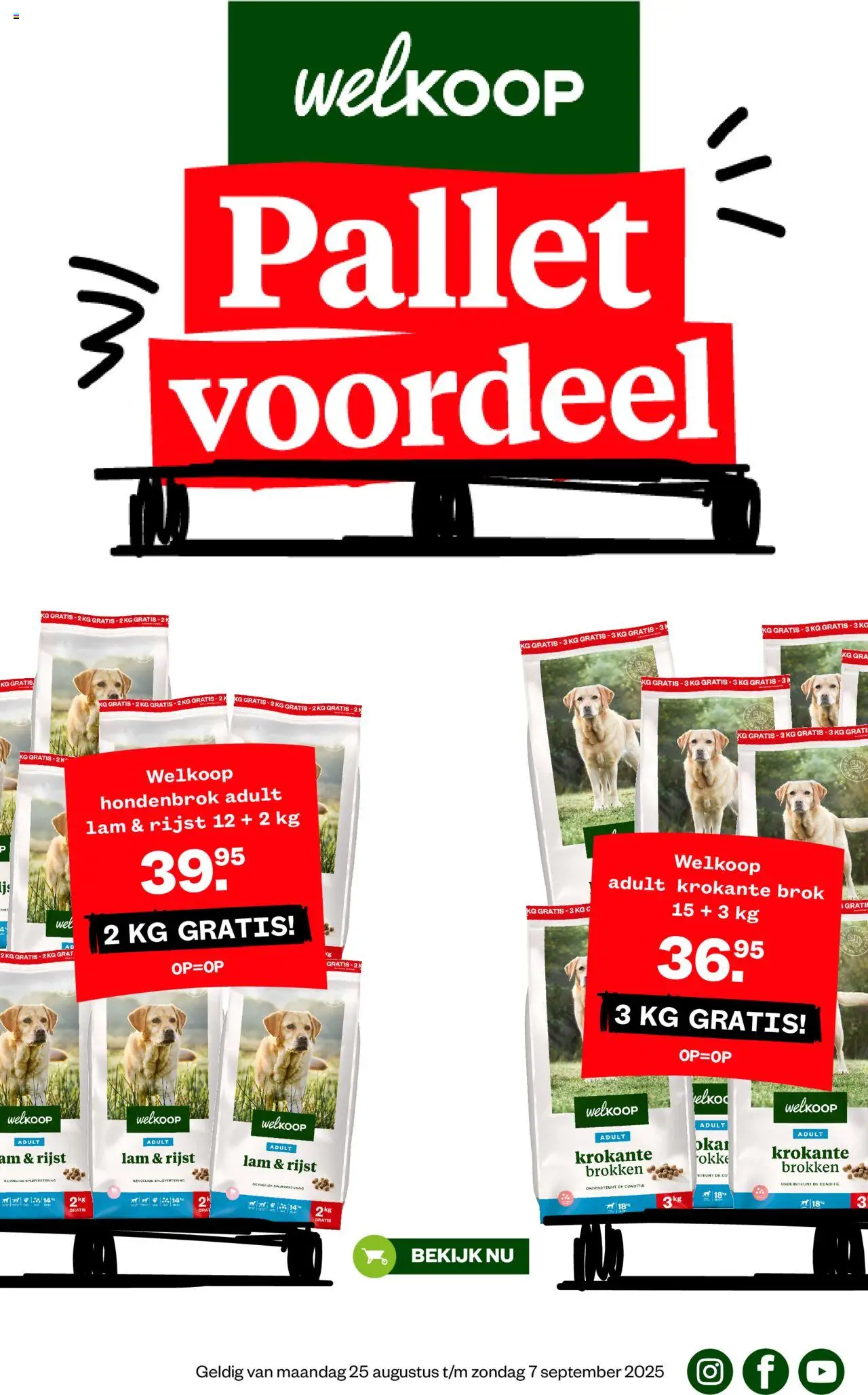 Welkoop shop Folder geldig vanaf 25-08-2025 - Paginanummer 1 - Rijst