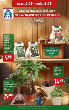 Pogląd gazetki "Zachwycające kwiaty" ze sklepu Aldi ważnej od 04.09.2025