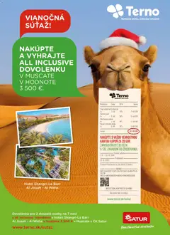 Náhľad Terno letáku platného od 04.12.2025 | Strana: 25