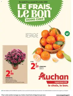 Prévisualisation de Le frais, le bon moins cher du magasin Auchan formulaire valide 21/10/2025