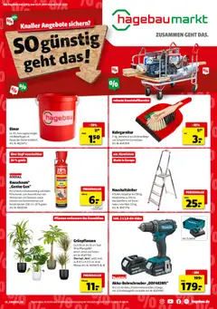 Vorschau von dem Prospekt des Geschäftes Hagebau, gültig ab dem 03.01.2026