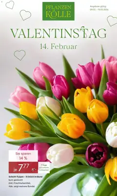 Vorschau von dem Prospekt des Geschäftes Pflanzen-Kölle, gültig ab dem 09.02.2026