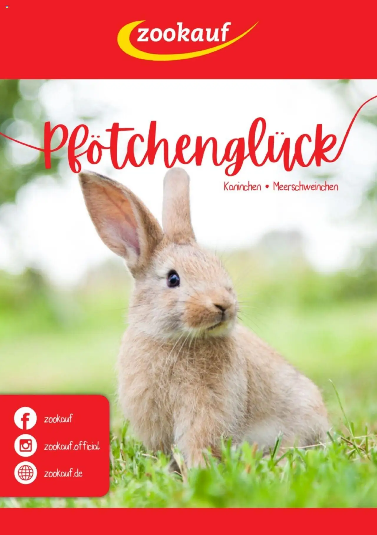 Vorschau von dem Prospekt des Geschäftes zookauf, gültig ab dem 05.06.2025 - Kaninchen