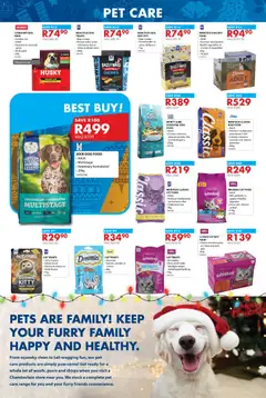 Preview of Chamberlain flyer valid from 20/11/2025 | Page: 10