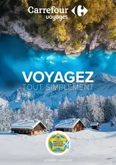 Prévisualisation de Voyagez tout simplement du magasin Carrefour Market formulaire valide 13/10/2025