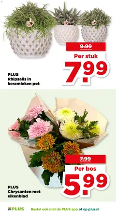 Voorbeeld van Folder week 45 van winkel Plus geldig vanaf 05-11-2025 | Pagina: 47