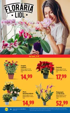 Previzualizarea de cataloage: Lidl Catalog nou valabil de la 03.11.2025 | Pagina: 34