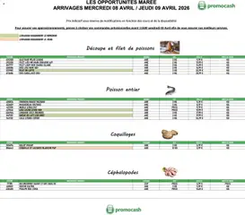 Prévisualisation de Promocash Opportunités Marée du magasin Promocash formulaire valide 08/04/2026