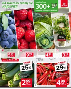 Pogląd gazetki "Gazetka" ze sklepu Selgros cash&carry ważnej od 14.08.2025 | Strona: 2